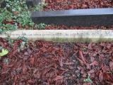 image of grave number 373427